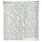Nature's Answer PerioWash Alcohol Free Mouthwash, Cool Mint, 16 fl oz