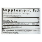 Nature's Answer Hops Strobile Extract (1 Fl Oz)