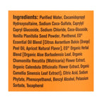 Everyone Apricot & Vanilla Hand Soap, 12.75 oz