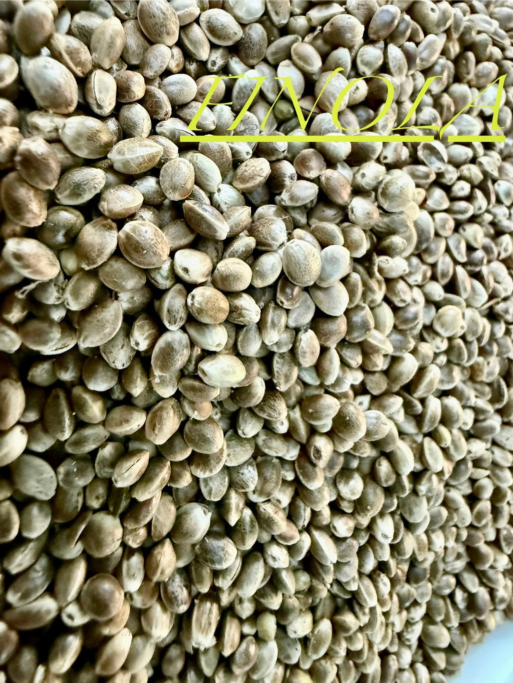 Ripkitty International & Domestic Raw Viable Hemp Seeds for Poultry, Equine Feeding, & Livestock