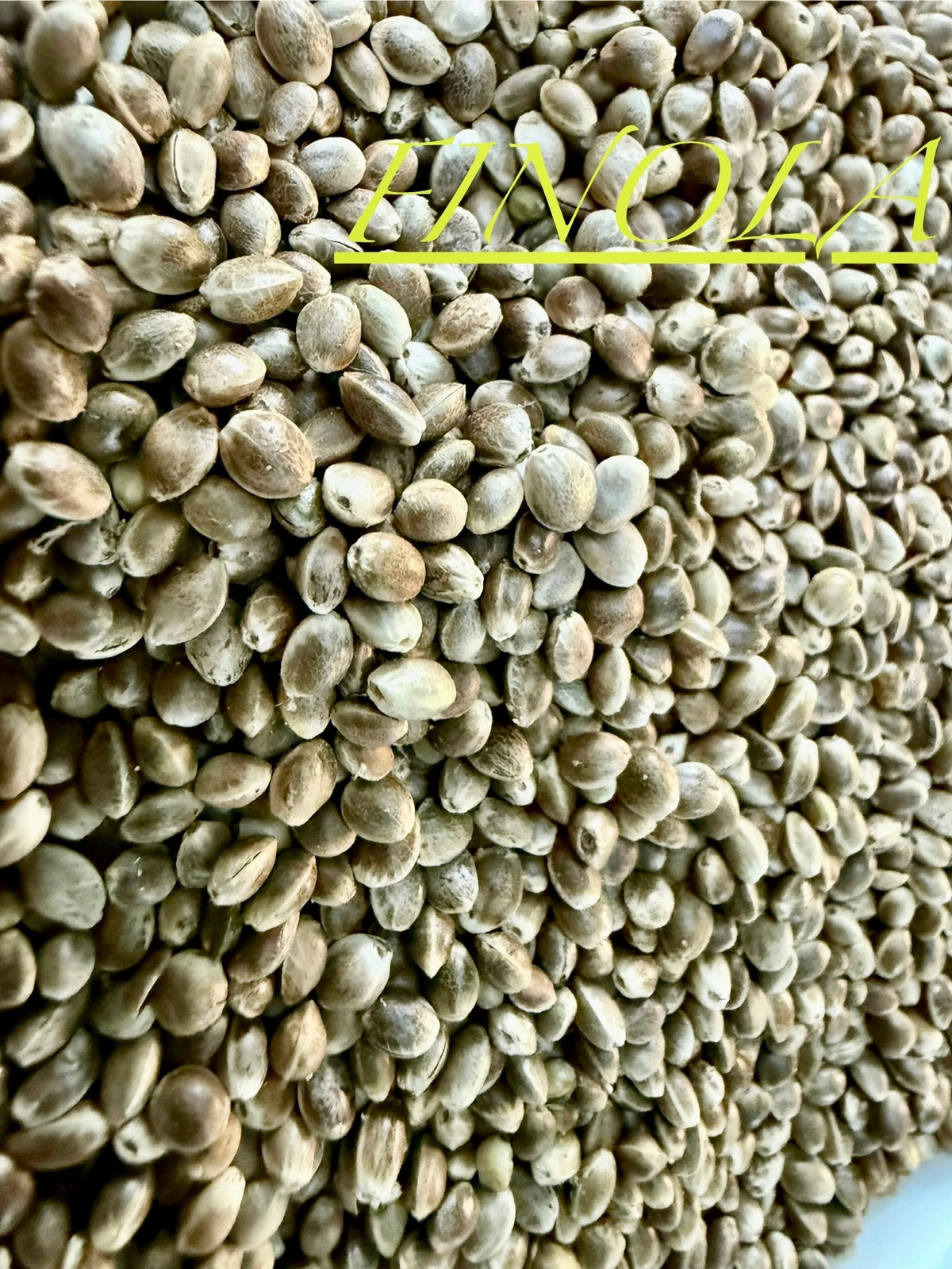 Ripkitty International & Domestic Raw Viable Hemp Seeds for Poultry, Equine Feeding, & Livestock