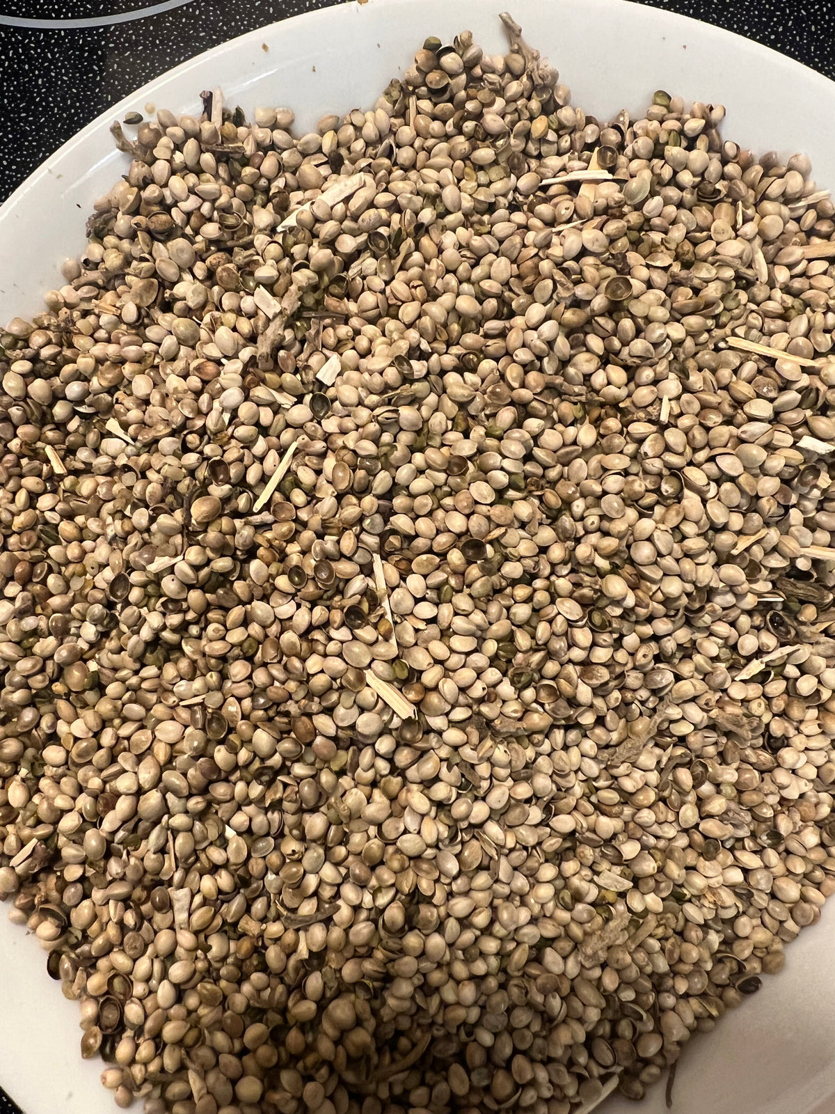 Ripkitty Premium Raw Organic Hemp Seeds | High-Protein Poultry & Bird Feed