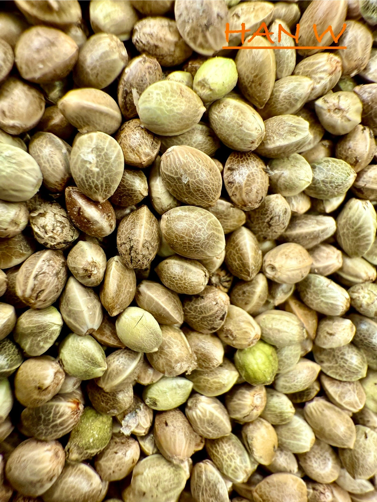 Ripkitty International & Domestic Raw Viable Hemp Seeds for Poultry, Equine Feeding, & Livestock