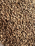 Ripkitty Premium Toasted Organic Hemp Seeds | High Protein Superfood