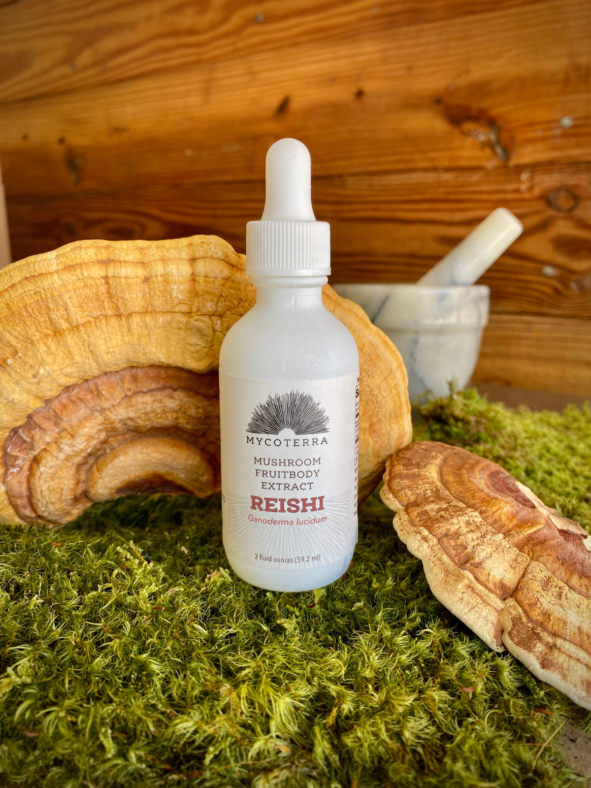 Organic Reishi Mushroom Tincture 2oz.