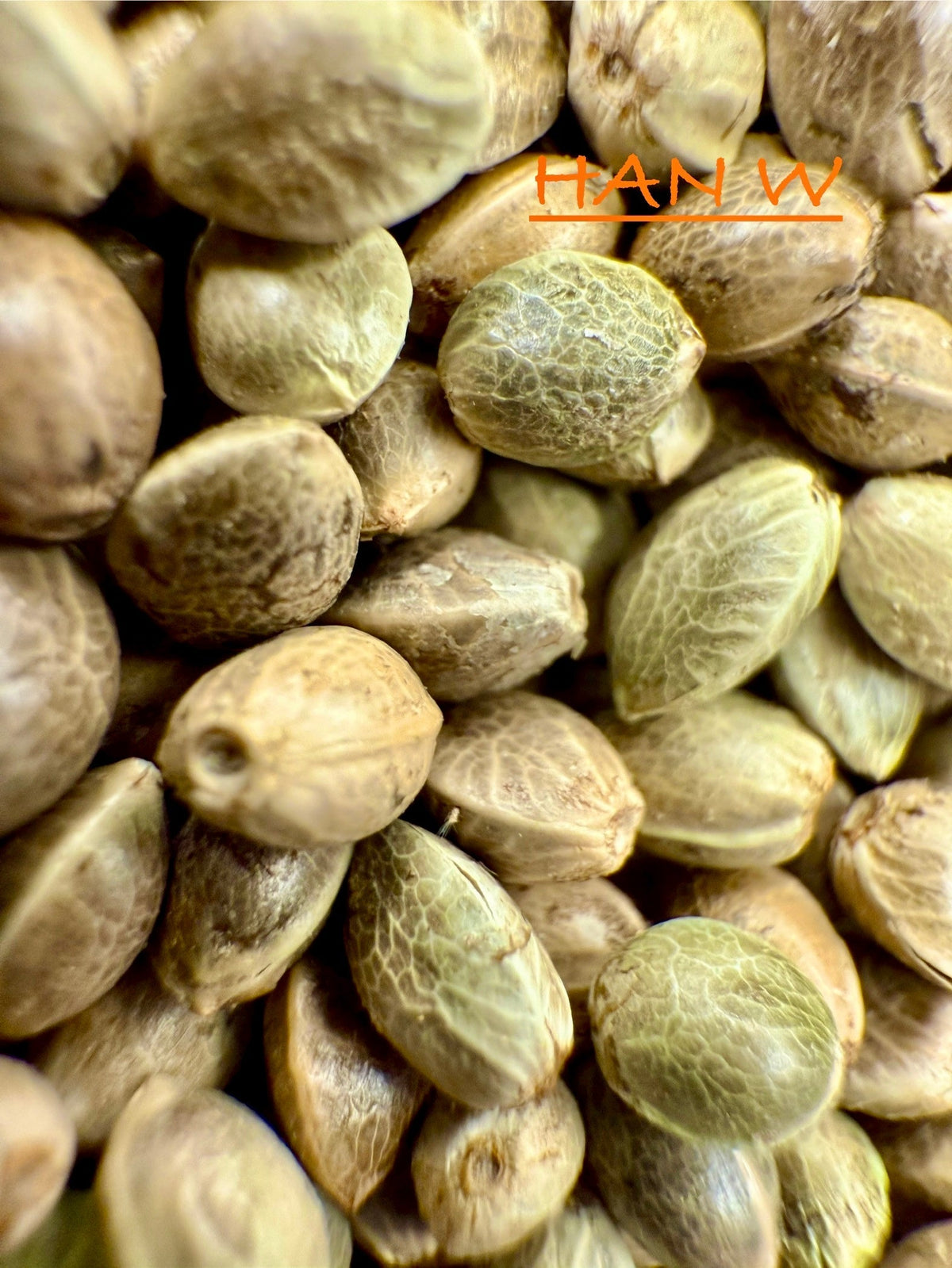 Ripkitty International & Domestic Raw Viable Hemp Seeds for Poultry, Equine Feeding, & Livestock