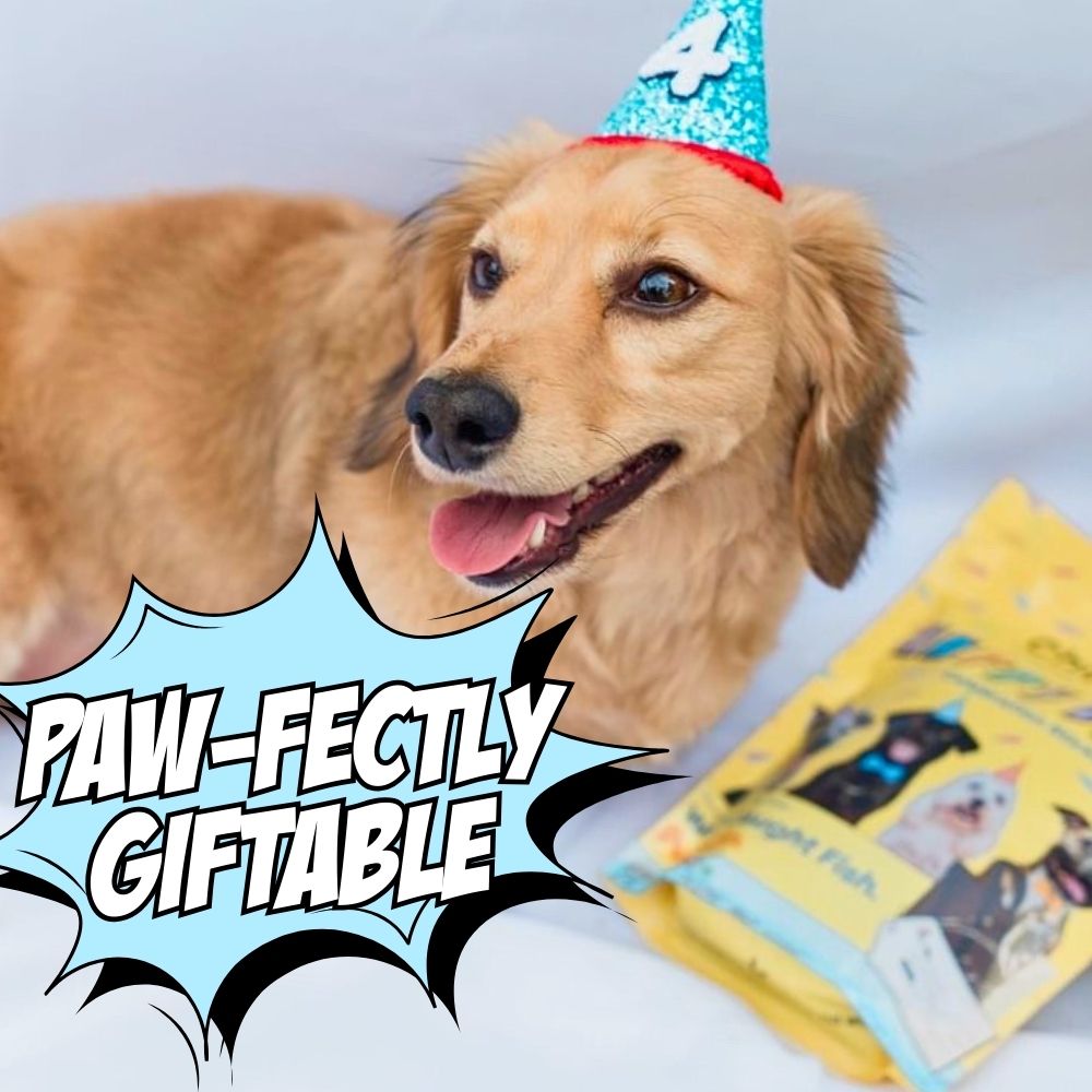 Birthday Dog Treats, 4-Pack