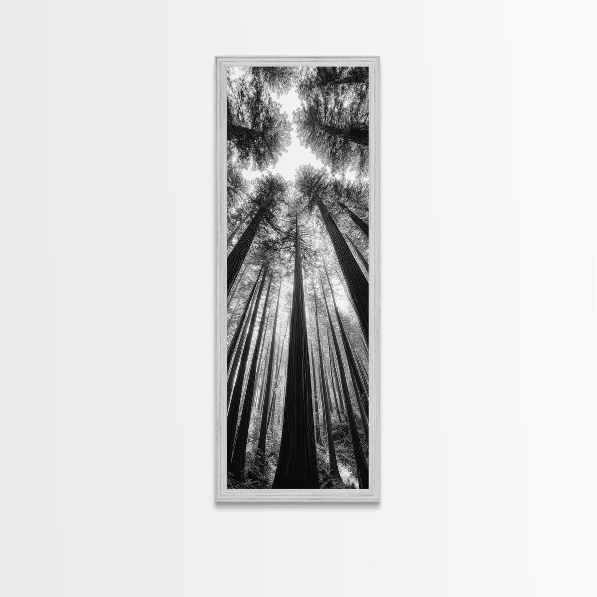 Redwood Forest, Sunlight Trees, Nature Canopy, Canvas Print, Serene Woodland Art, Cabin Wall Decor, Black and White Forest Art, Bedroom Wall Art