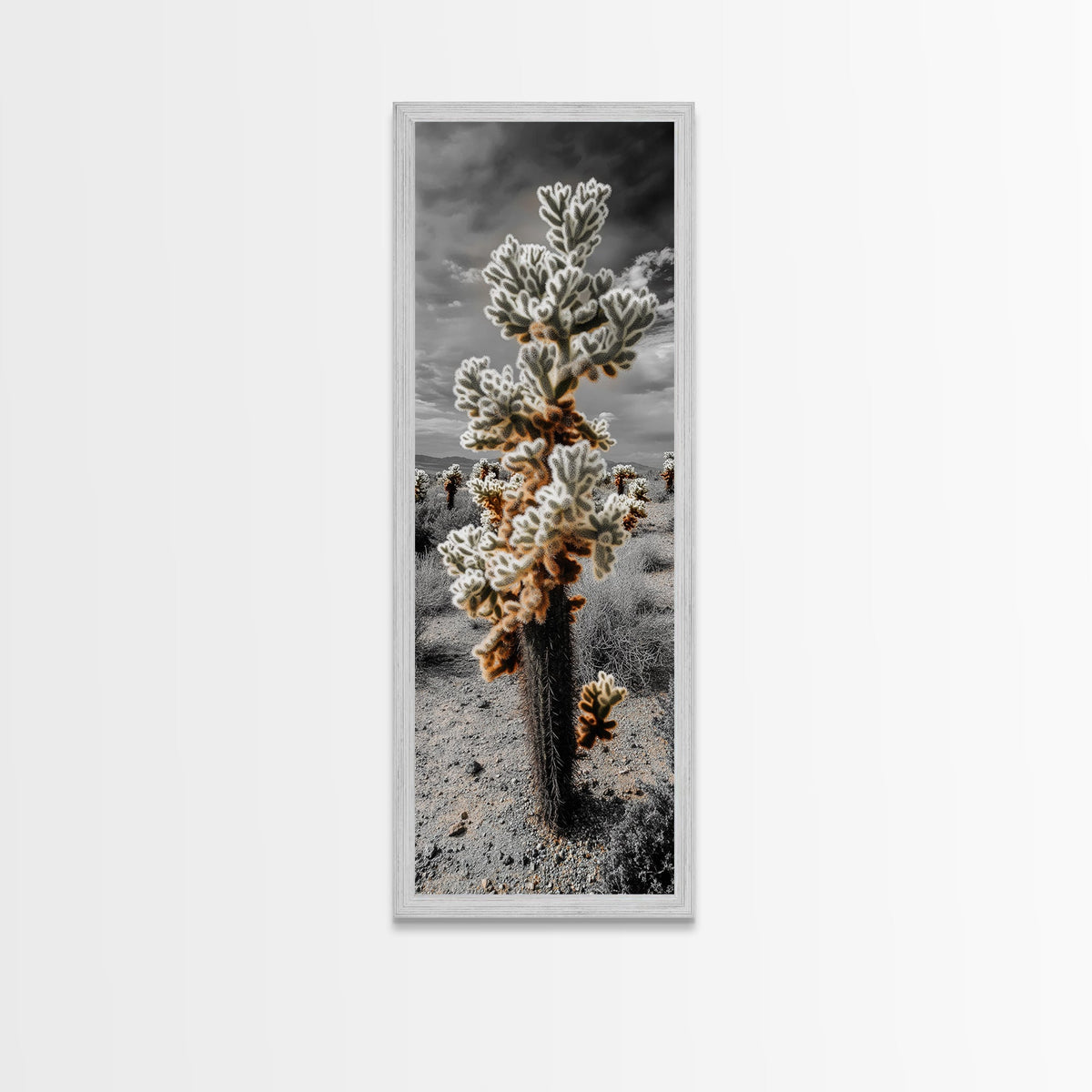 Cholla Cactus Desert, Southwestern Nature Scene, Spiky Plant Decor, Framed Canvas Print, Minimalist Boho Art, Sunroom or Entryway Style