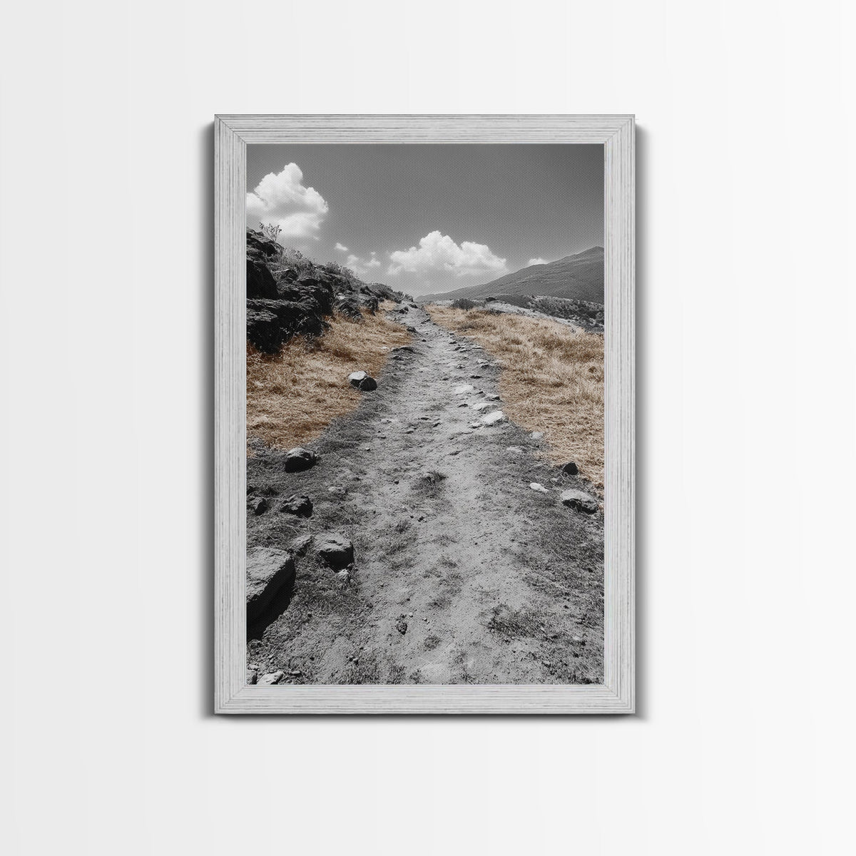 Desert Path, Solitude Trail, Nature Adventure, Canvas Print, Minimalist Landscape Wall Art, Entryway Rustic Decor, Fall Color Tones