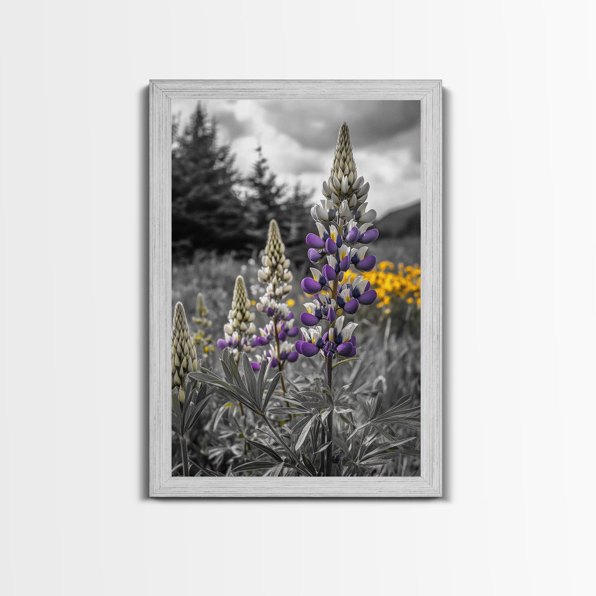 Purple Lupine Flowers, Wildflower Meadow Art, Country Botanical Print, Spring Nature Scene, Framed Canvas Print, Cottagecore Wall Art