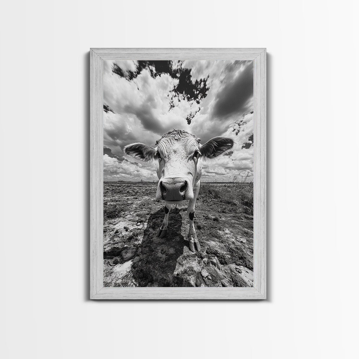 Rustic decor, vintage cow photography, framed canvas print, farmhouse art, black and white wall art, country aesthetic, moody art, southwest wall art