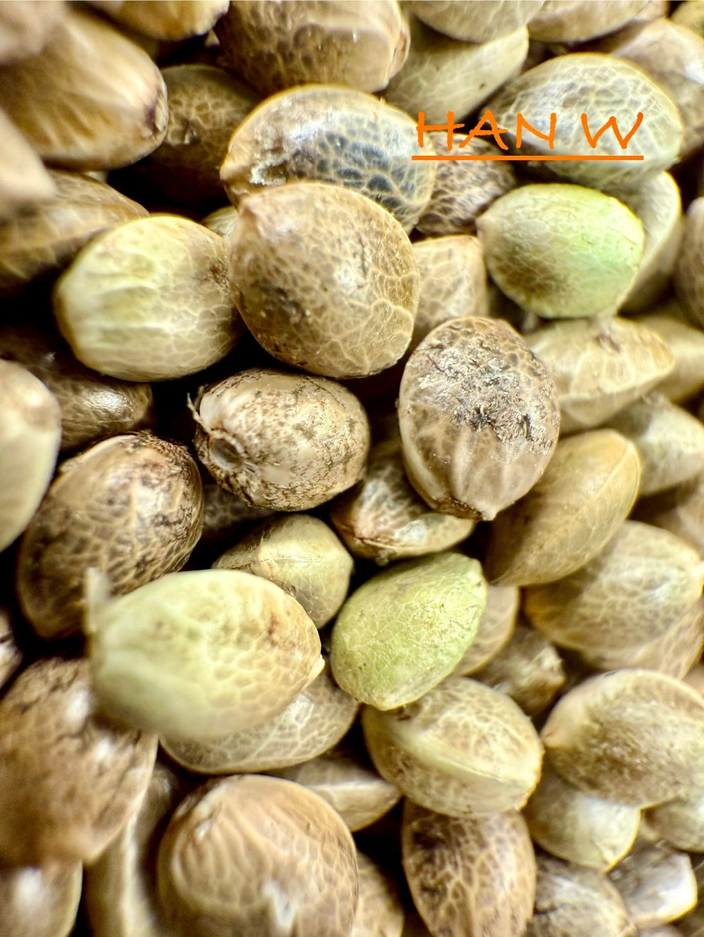 Ripkitty International & Domestic Raw Viable Hemp Seeds for Poultry, Equine Feeding, & Livestock