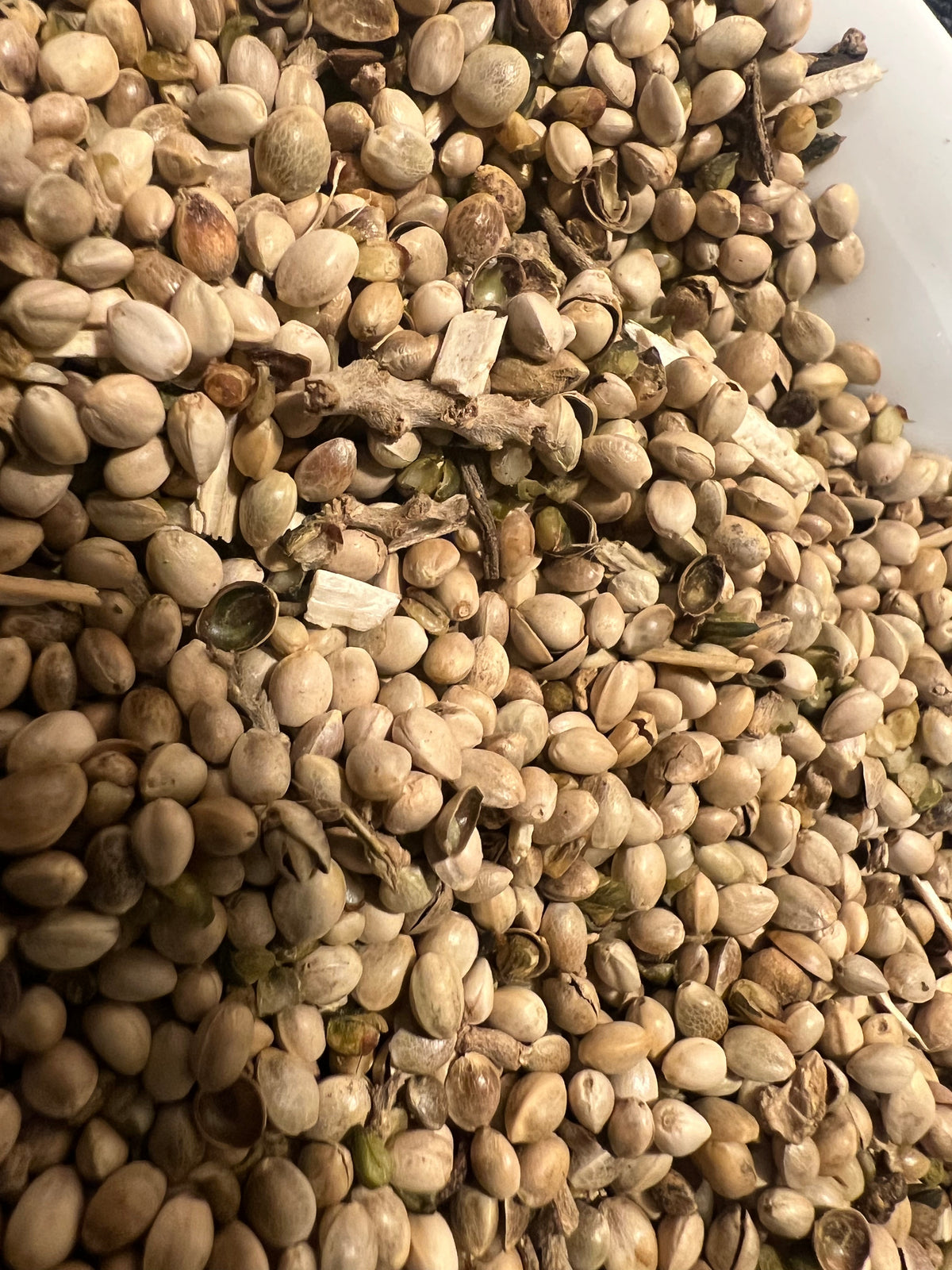 Ripkitty Premium Raw Organic Hemp Seeds | High-Protein Poultry & Bird Feed