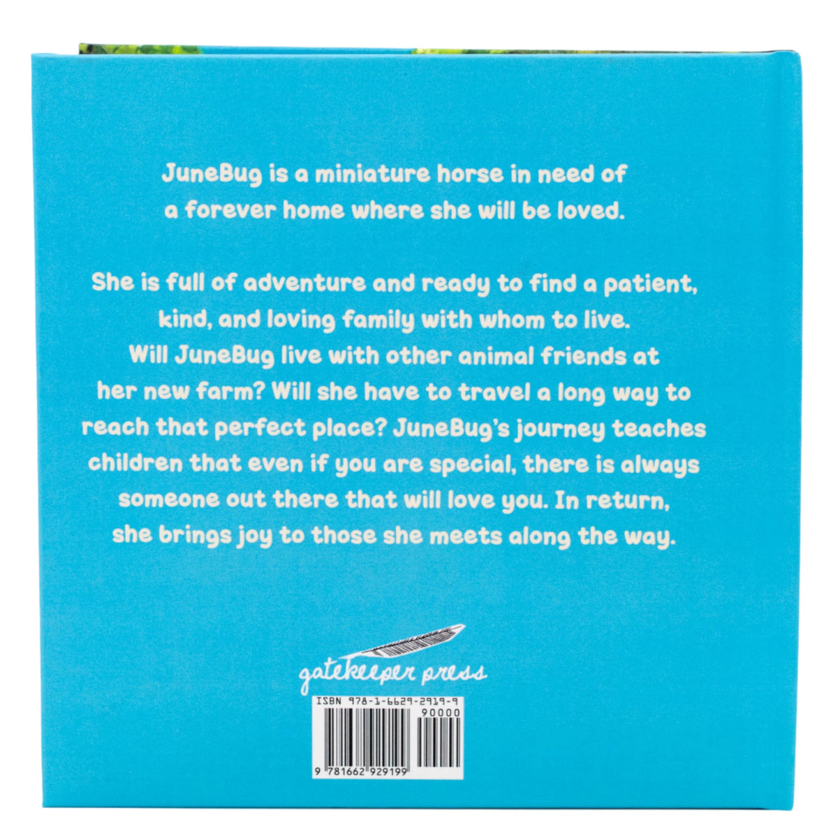 JuneBug Finds Her Forever Home | Hard Cover Children's Book | 32 Pages  | By Brenda L Johnson