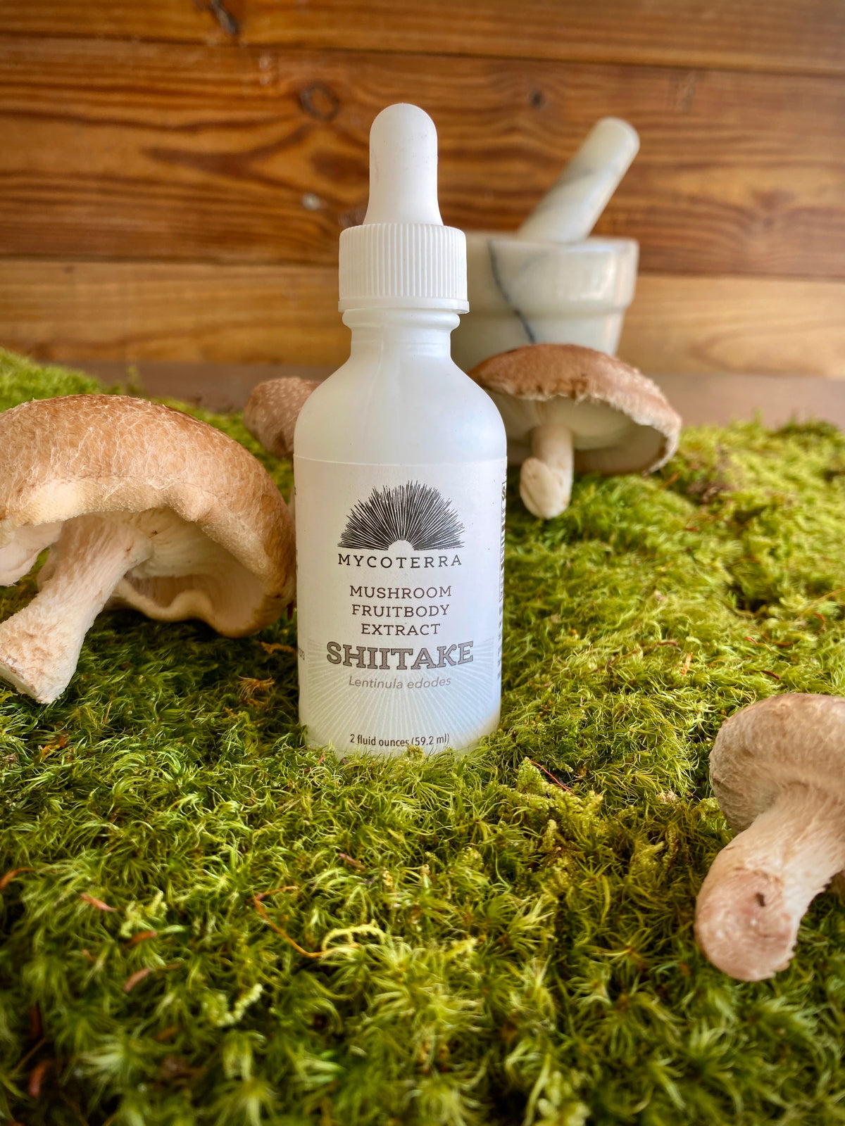 Organic Shiitake Mushroom Tincture 2oz.