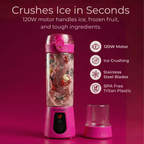 Pro+ Ice Crushing Portable Blender (17oz)