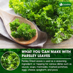 Premium Dried Parsley Leaves – 100% Pure, Non-GMO, Gluten-Free, Vegan – Aromatic Culinary Herb for Cooking, Garnish, and Seasoning
