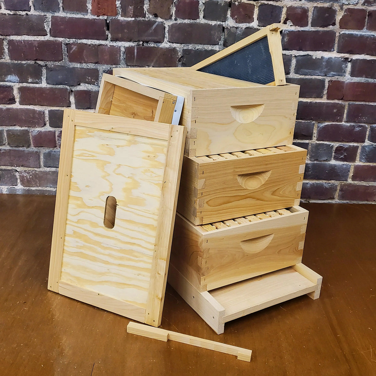 8-Frame All-Medium Box Hive Kit
