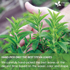 Stevia Leaf, Whole Dried Leaves, Tea Bags, Powder, 100% Natural and Pure from Stevia Leaves. Sugar Substitute for Tea, Coffee. Loose Leaf Stevia Herbal Tea. Zero Calorie Sweetener. No Sugar, No Caffeine, No Gluten, Vegan.