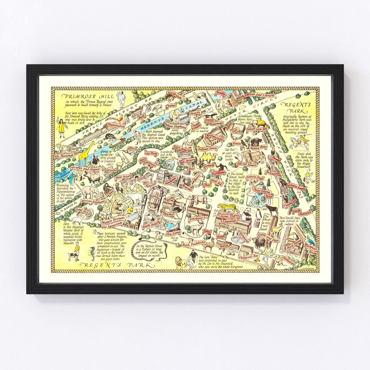 Vintage Map of Zoological Gardens Regent Park, 1947