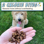 Silver Carp & Sweet Potato Training Bites, 4-Pack