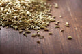 Fennel Seed