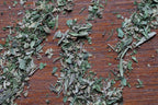 Herbes de Provence