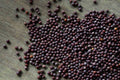 Brown Mustard Seed