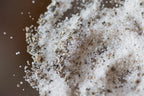 Black Truffle 10% Truffle Salt