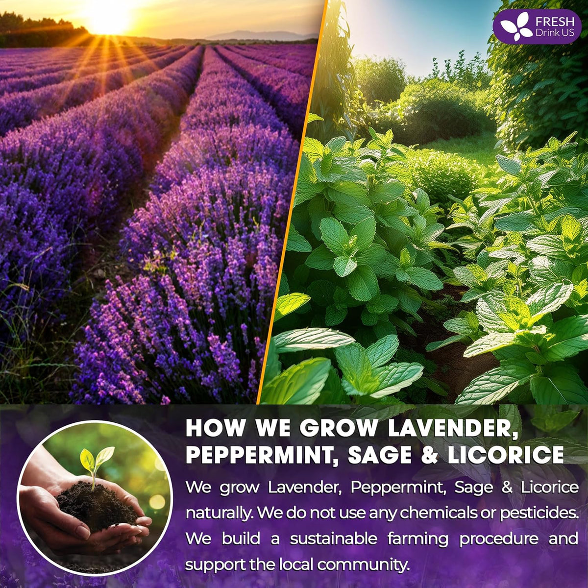 Premium Lavender Mint Tea Bags. 100% Natural, Blend of Lavender, Peppermint, Sage and Licorice.