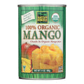 Native Forest Juice (Pack of 6) - Mango Chunks - 14 Oz.