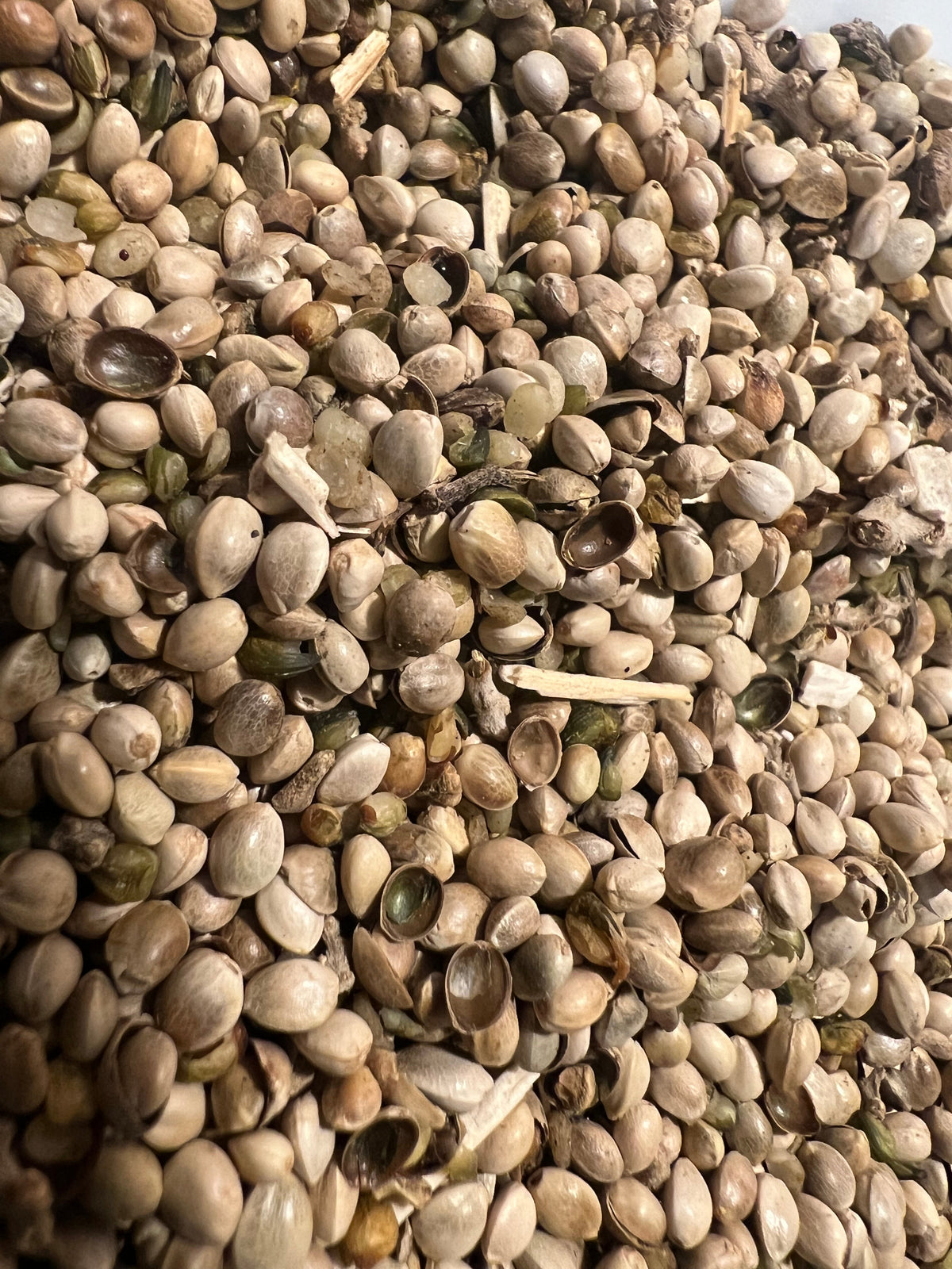 Ripkitty Premium Raw Organic Hemp Seeds | High-Protein Poultry & Bird Feed
