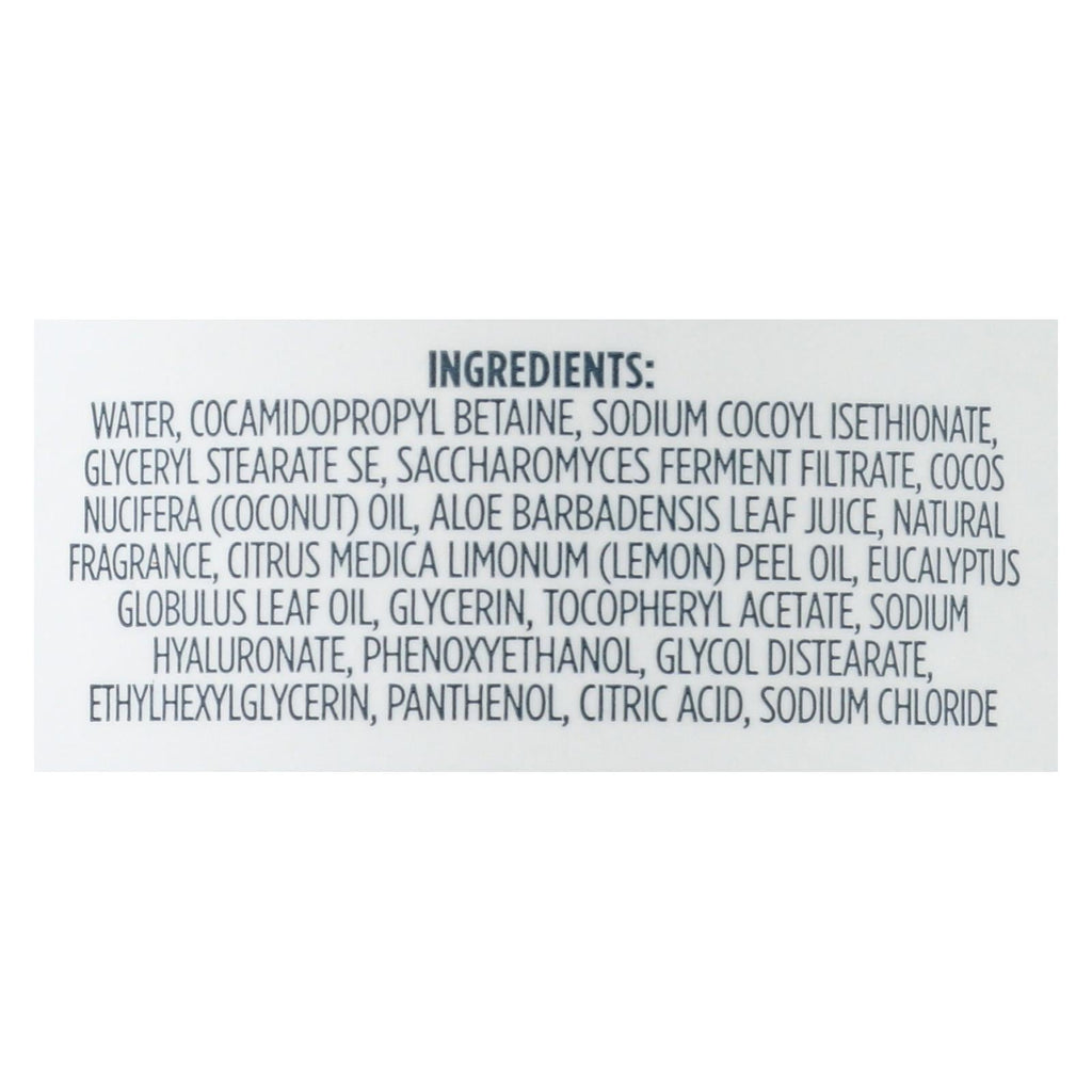 Kirk's Natural Lemon Eucalyptus Hand Soap (12 Fl. Oz.)