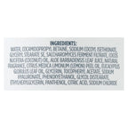 Kirk's Natural Lemon Eucalyptus Hand Soap (12 Fl. Oz.)