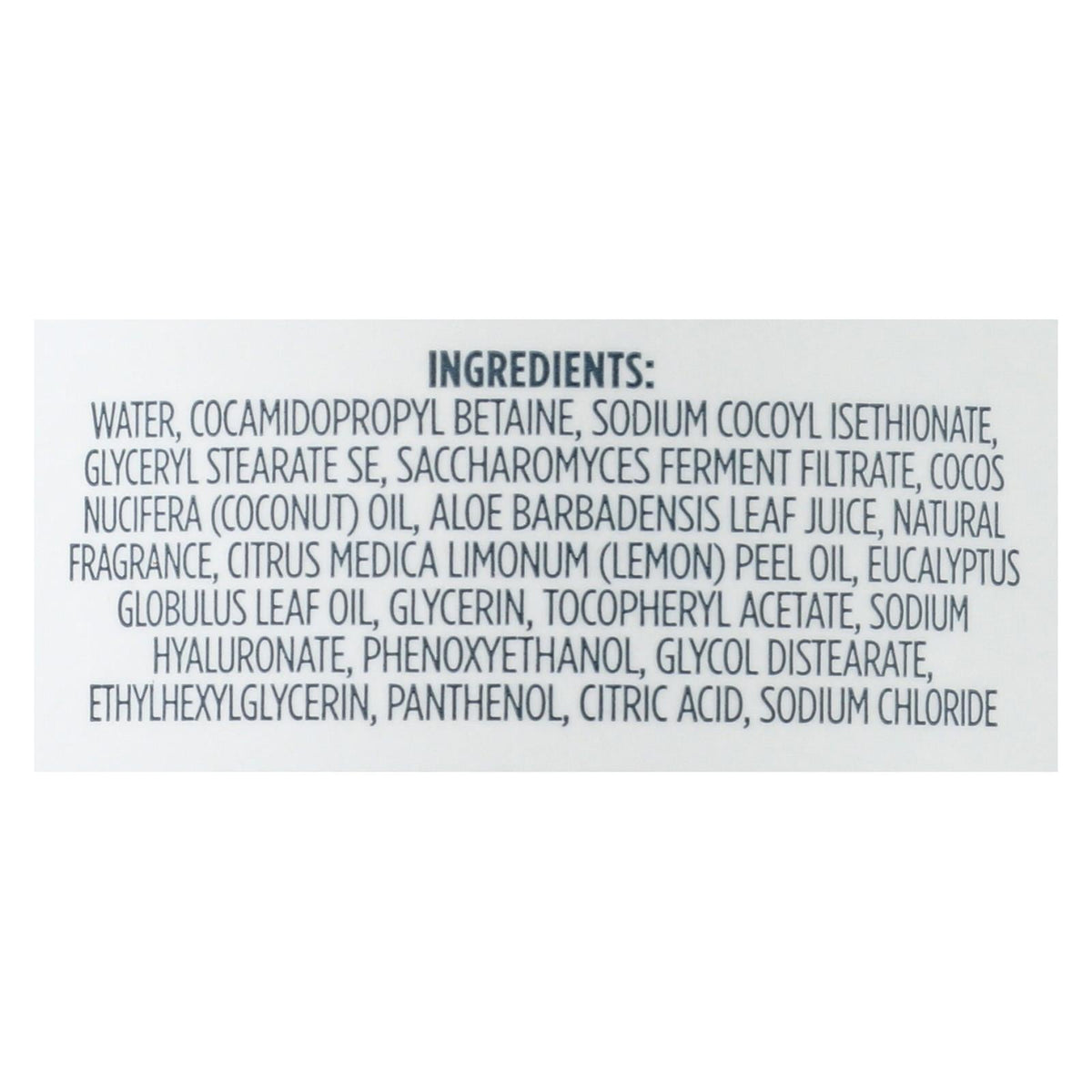 Kirk's Natural Lemon Eucalyptus Hand Soap (12 Fl. Oz.)
