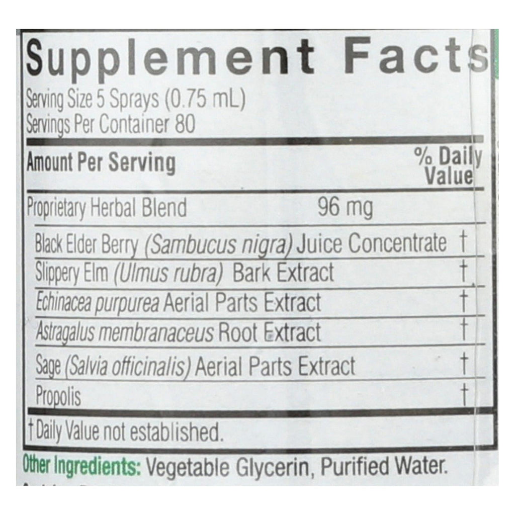 Nature's Answer Sambucus Nigra Black Elderberry Extract Spray, 2 fl oz