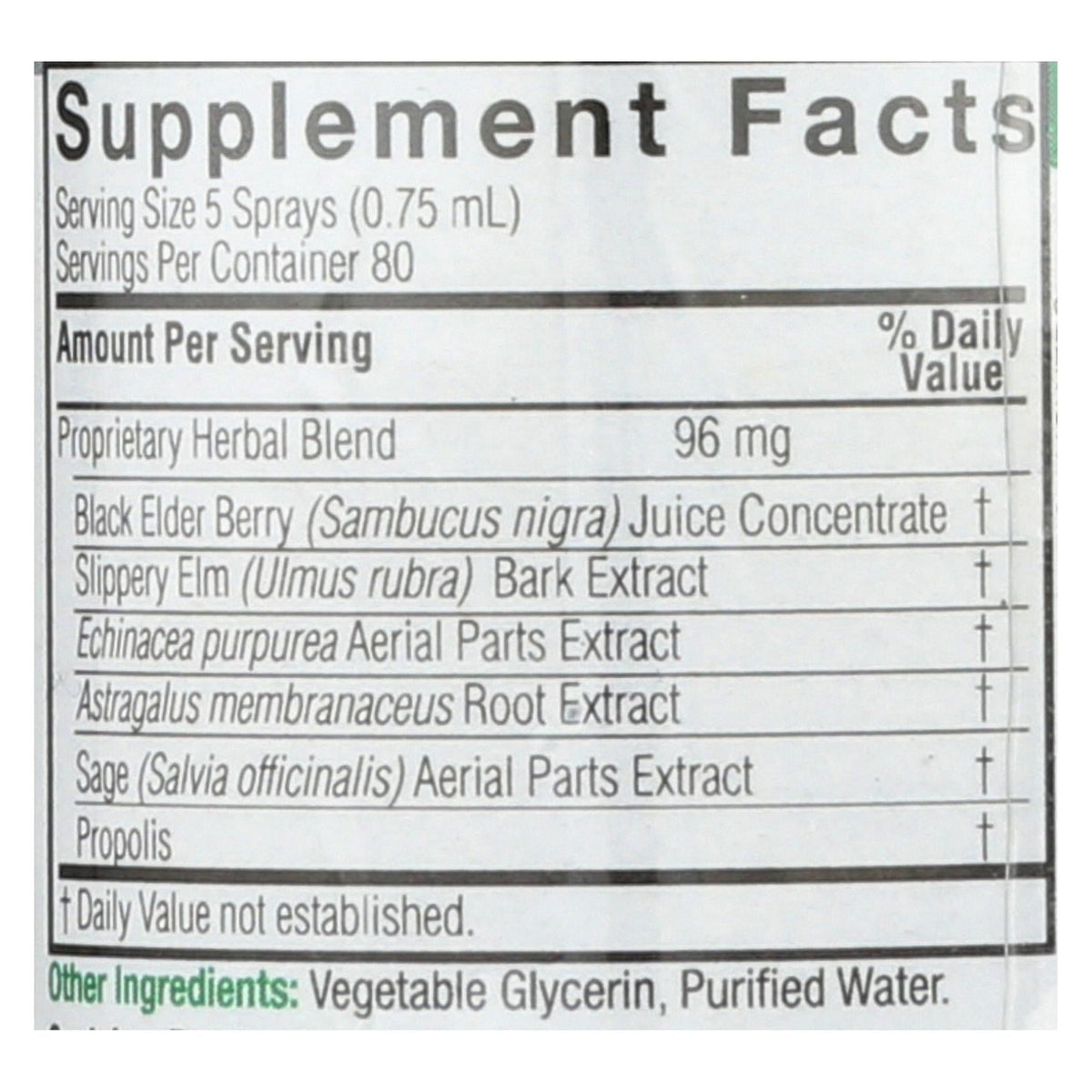 Nature's Answer Sambucus Nigra Black Elderberry Extract Spray, 2 fl oz