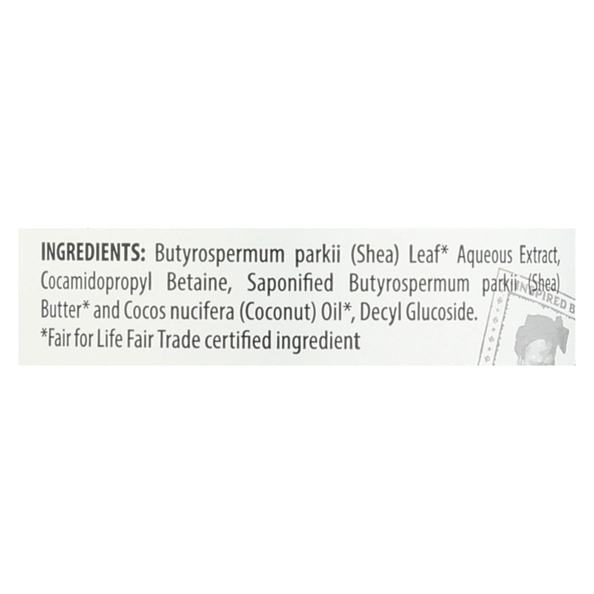 Alaffia Everyday Shea Moisturizing Unscented Shampoo  - 32 Fl. Oz.