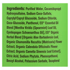 Everyone Hand Soap, Spearmint & Lemongrass, 12.75 oz
