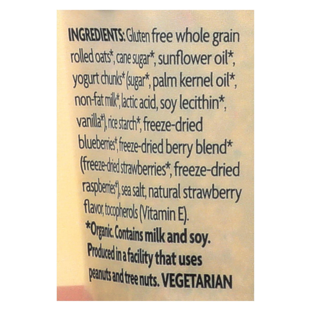 Nature's Path Organic Summer Berries Granola, 11 oz (Case of 8)