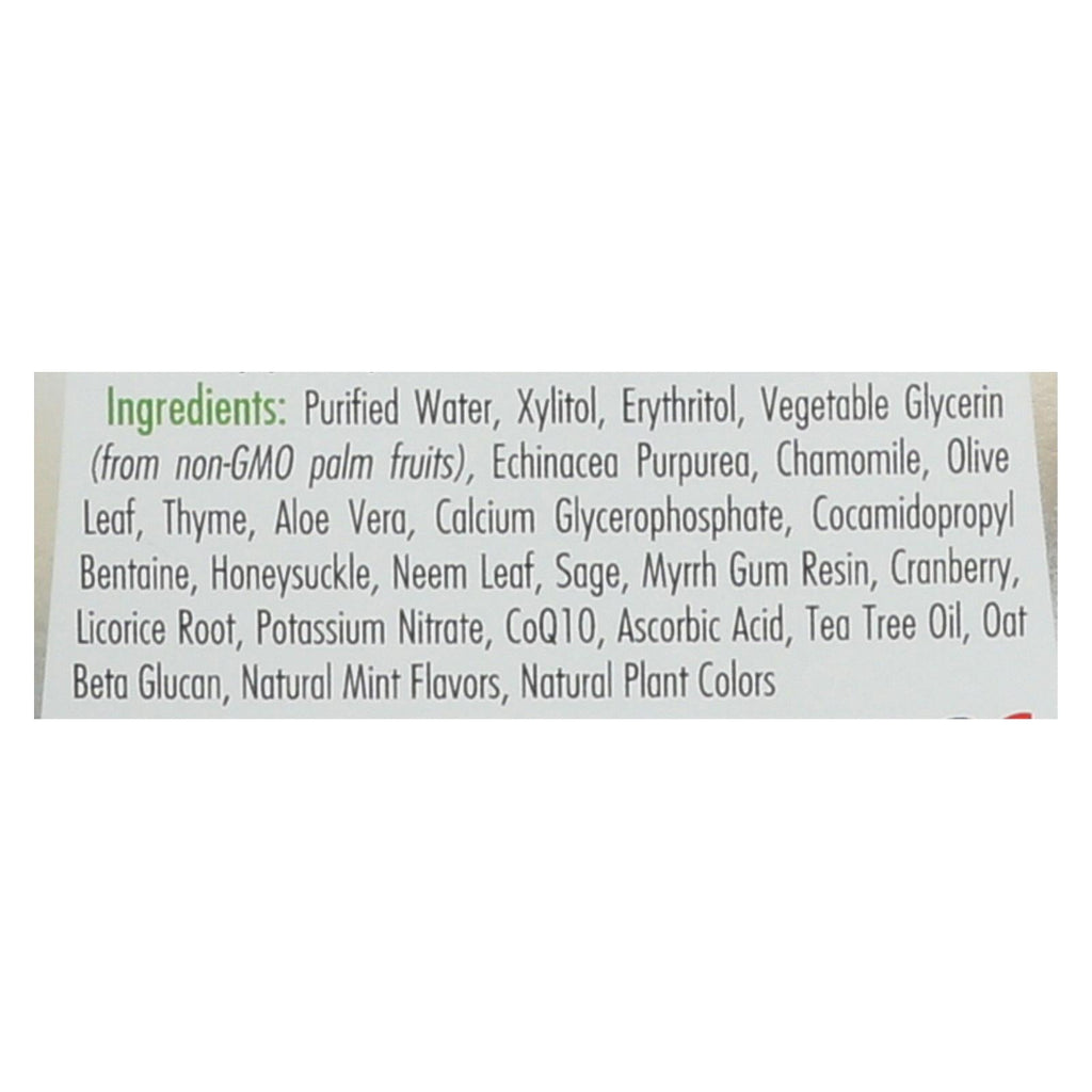 Spry Alcohol Free Herbal Mint Mouthwash, 16 fl oz