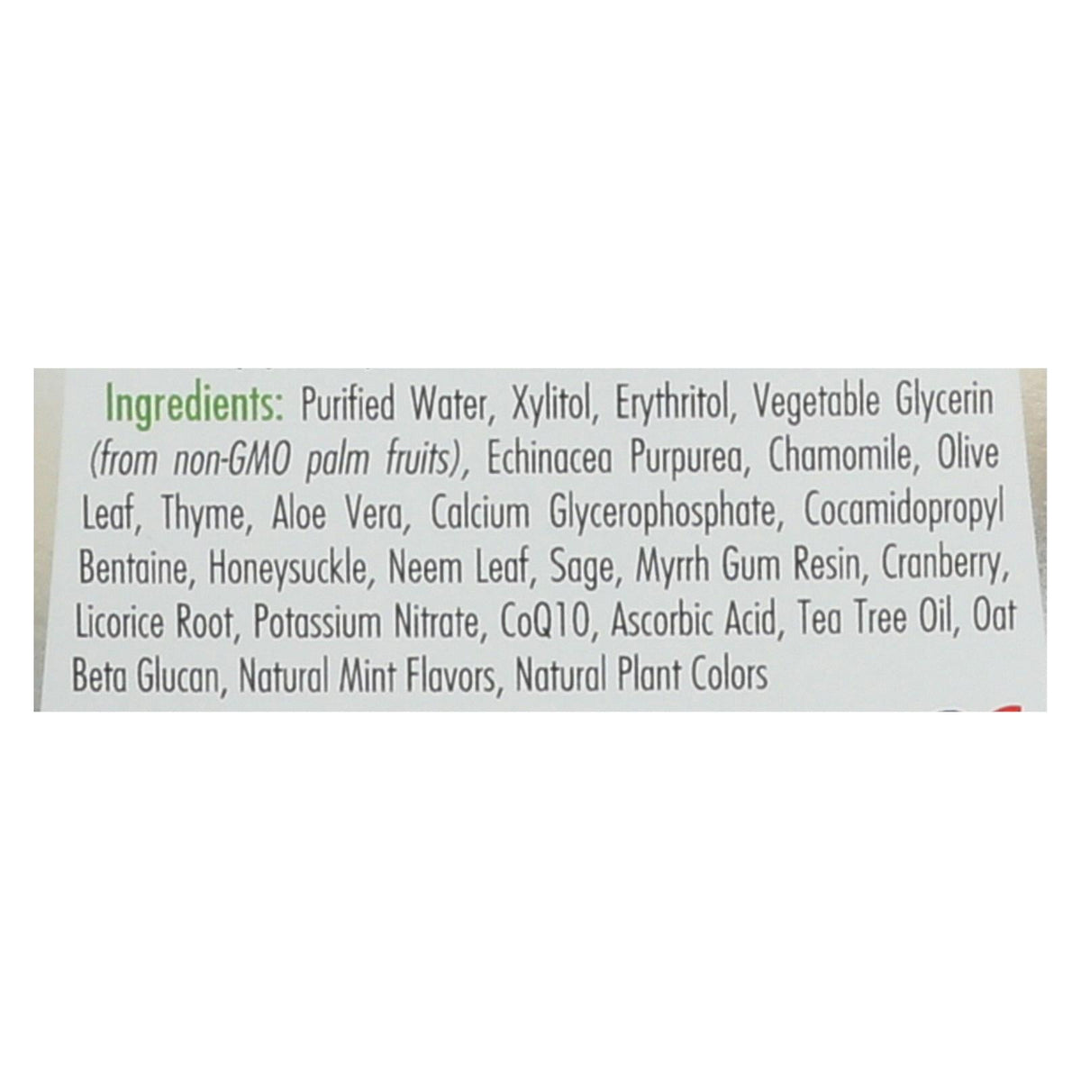 Spry Alcohol Free Herbal Mint Mouthwash, 16 fl oz