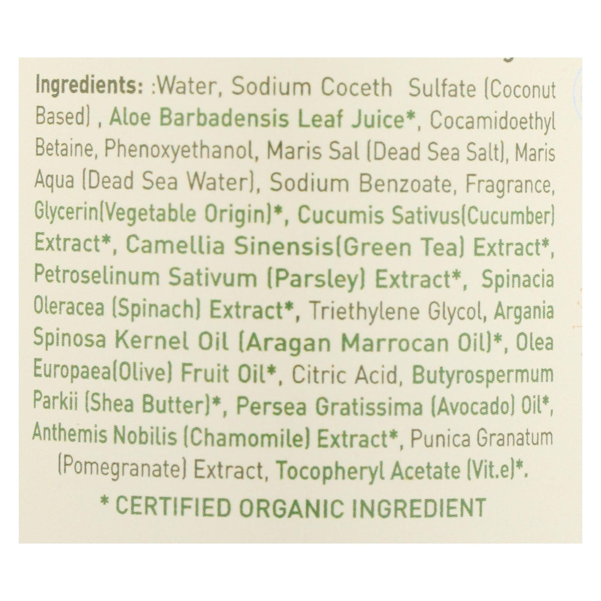 Ecolove Green Vegetables Family Shower Gel, 17.6 fl oz