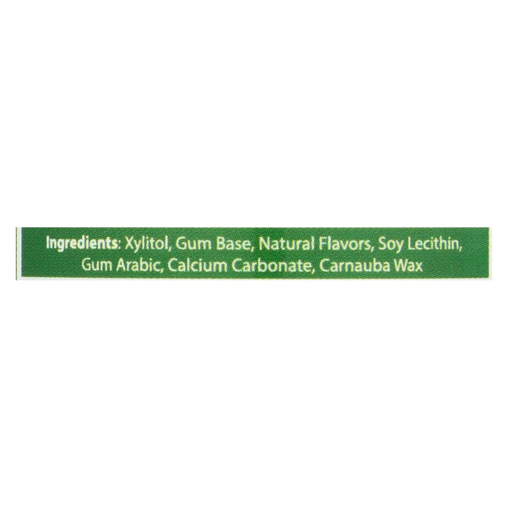 Epic Dental Spearmint Xylitol Gum, 50 ct
