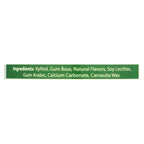 Epic Dental Spearmint Xylitol Gum, 50 ct