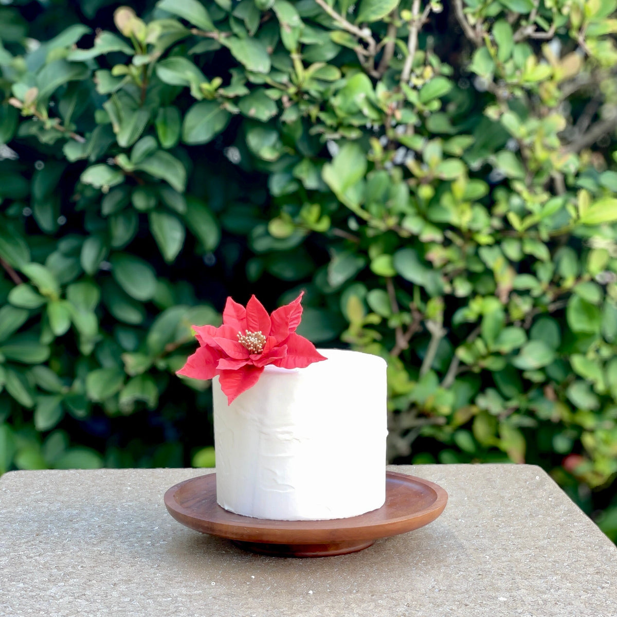 Red Poinsettia Sugar Flower with Gold
