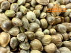 Ripkitty International & Domestic Raw Viable Hemp Seeds for Poultry, Equine Feeding, & Livestock