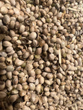 Ripkitty Premium Raw Organic Hemp Seeds | High-Protein Poultry & Bird Feed
