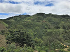 Colombia | Aromas Del Sur | Decaf